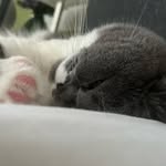 Jörg - @a.j.schulz_ - Instagram
