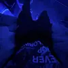 AJSeLLs$ - @alexwjnwvb8 - TikTok