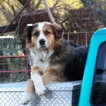 Aj Sewell - @rusty25252003 - Instagram