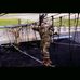 AJ Sewell - Facebook