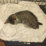 aj shepard - @ajshepard2623 - Instagram