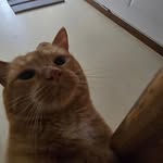 AJ shipman - @aj_shipman - Instagram