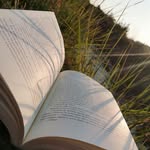 A. J. Shute - @books_by_aj_shute - Instagram