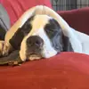 Shute! - @aj.shute - TikTok