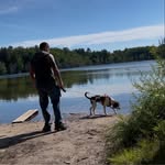 AJ Solis - @soulless_zebra - Instagram