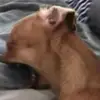 Solis - @a.j.solis - TikTok