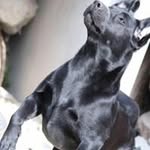 Andrea Spain - @ajspain - Instagram