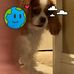 Aj Spear - Facebook