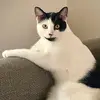 ajspear81 - @ajspear81 - TikTok