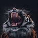 AJ Spinks - Facebook