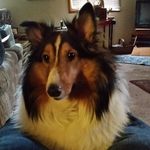 Ronda J Stahl - @rondajstahl - Instagram