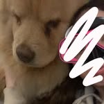 @aj_stauffer6 - Instagram