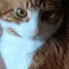 ajstegner - @ajstegner - TikTok