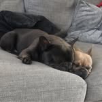 Anthøny J Størëy - @aj_storey - Instagram