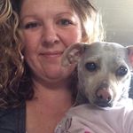 Aj Sullivan - @ajsullivan74 - Instagram