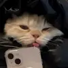 ajtecson - @lmkifs - TikTok