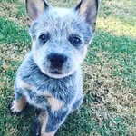 aj Thurman - @aj63646187 - Instagram