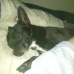 Aj Thurman - @ajthurman5205 - Instagram