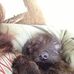 AJ Tindall - Facebook