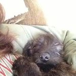 Avery - @aj_tindall - Instagram
