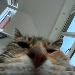 Aj - @ajtinkercaldwell - Instagram