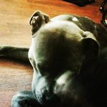 Aj Townsend - @aj_5.6.0.5.1 - Instagram