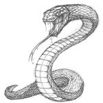 Aj Townsend - @snake_libary - Instagram
