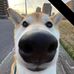AJ Tully - Facebook