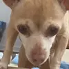 Aj.vaild - @aj.vaild - TikTok