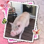 A Jeanette Vanderpool - @ajeanettevanderpool - Instagram
