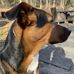 Aj Vaughn - Facebook