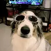 Aj Vega - @ajvega10 - TikTok