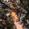 ajvegaa - @ajvegaa - TikTok