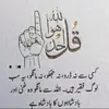 Aj Virk - @aj.virk8 - TikTok