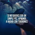 J.V - @ajvivas87 - Instagram