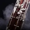 AJ Wagner - @aj.wagner - TikTok