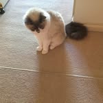 Annette Wainwright - @a.j.wainwright - Instagram