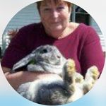 Pamela J Waldron - @pamelajwaldron - Instagram