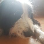 AJ Wallace - @ajwallace_2007 - Instagram