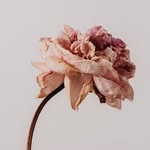 a.j. waller - @aj.waller - Instagram