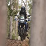 aj walters - @adjyfergo - Instagram