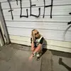 AJWalters - @aj.walters0 - TikTok