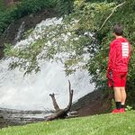 Aj Webster - @webster_aj - Instagram