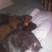 Aj Webster - Facebook