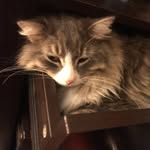 Austin Wheeler - @ajwheeler2008 - Instagram