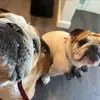 AJWhitaker - @ajwhitaker16 - TikTok