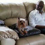Bentley - @ajwhitaker13 - Instagram