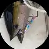 aj - @ajwhiting5678910 - TikTok