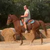 ajwhitley77 - @ajwhitley77 - TikTok