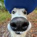 Aj Wil - Facebook